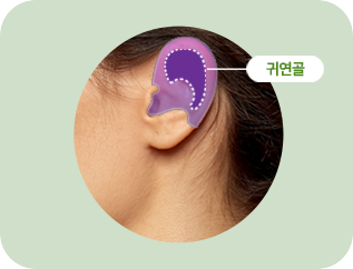 귀연골